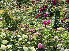 My College Friend and I Shared a Moment