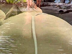 Sensual Threesome At The Beach With Brunette Riding And Double Penetration