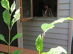 Nikki fucked from behind in a close-up doggystyle scene.