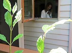 Nikki fucked from behind in a close-up doggystyle scene.