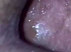 Culotte Fashion Featuring Big Ass Design With Cum Accents