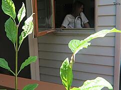 Nikki fucked from behind in a close-up doggystyle scene.