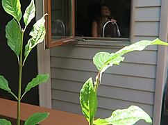 Nikki fucked from behind in a close-up doggystyle scene.