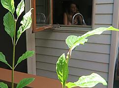 Nikki fucked from behind in a close-up doggystyle scene.