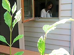 Nikki fucked from behind in a close-up doggystyle scene.