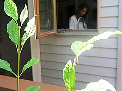 Nikki fucked from behind in a close-up doggystyle scene.