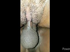 opening new year with fresh pussy?