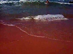 Yuri Gaúcho Casal Paradise Gostosa Casada Mostra Tudo Na Praia De Nudismo Os Machos Tudo Loucos