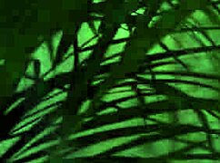 You know, this perfect teen virgin butterfly gets hard anal fucking and a powerful stream of piss in her mouth from big black cock dylan brown eks554.