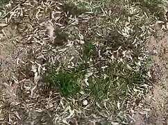 HOME VIDEO WITH STORY AND CONVERSATIONS