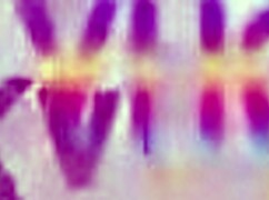 sensual teen 18+ gabily castro assfucked by 1 2 3 guys and then gangbanged by all 5 of them doing dap and lots of pee