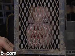 Sadomasochism Queens Bound And Fucked Rough