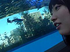 Full Version Https Bit Ly 39jkqdv