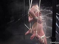 Hogtied brunette slut gets water bondage