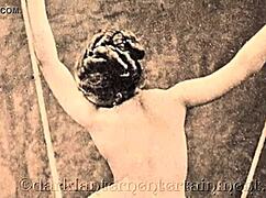 Dark Lantern Entertainment Presents Vintage Swingers From My Secret Life, The Erotic Confessions Of A Victorian English Gentleman