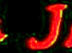 alexa drapes pink panties on that toilet cock