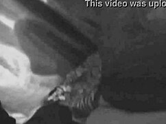 Mr Cunnlingus And Lil Pound Cake 4 Year Fuckabration