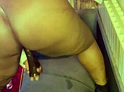 Nigarchrist Update 1449 Petal on June 17 2025