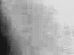 Mr Cunnlingus And Lil Pound Cake 4 Year Fuckabration