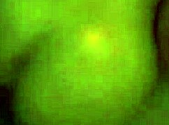 Curly Haired Ebony Beauty Bent Over for Rough Backshots