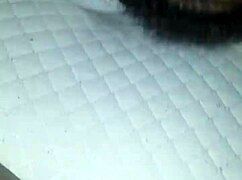 ugh brown girl moanin' while gettin' her pussy ate sooo good