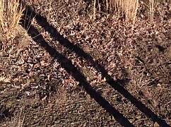 i just cant stop fuckin this sexy big ass redhead slut... whew