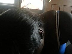 Sucking Cock in Intense Close-Up Action Scene