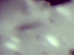 Costumes That Spark Hidden Desires And Playful Encounters