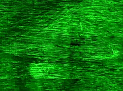 Frenetic Anal Cowgirl Creampie Squirting Ride!