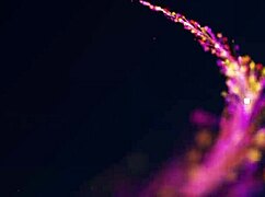 dude, i spied on my girl taking anal creampie from huge cock... so hot!