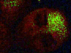 Damn this latina sucks cock so good and deep!