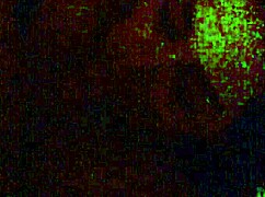 Damn this latina sucks cock so good and deep!