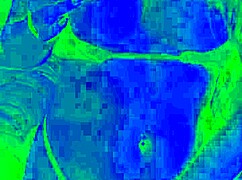 Tattooed horny babe masturbates with natural tits