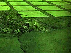 Rough Hardcore Teen Gangbang