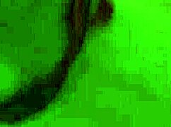 Monika Fox's Pierced Nipples and Shaved Pussy Shine in Steamy Shower