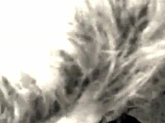 Milf Devours Monster White Cock Sucking Every Inch Deep