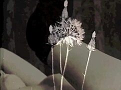 Dark Lantern's vintage beauty bares hairy beaver and natural tits