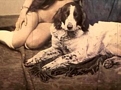 Dark Lantern's vintage beauty bares hairy beaver and natural tits