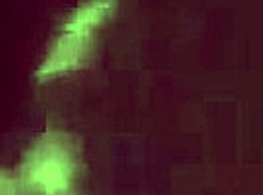 Dark Lantern's vintage beauty bares hairy beaver and natural tits