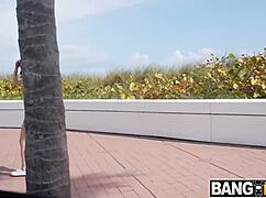 bangbus returns as broke college students take wild group ride