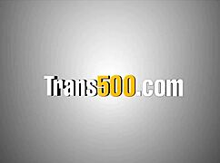 Shemale Cowgirl Crushes Big Asses In Hardcore Anal Orgy Frenzy