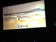 Japan's top internet karaoke men dominate online stages boldly