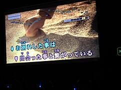 Japan's top internet karaoke men dominate online stages boldly