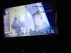 Japan's top internet karaoke men dominate online stages boldly