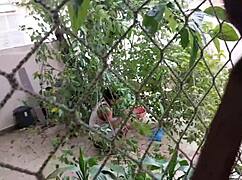 wanna see her gaping after bbc neighbor anal creampie?