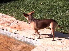 Vanessa Cage shares fun backstage moments with crew