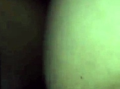 Wanna see her ass wrecked while screaming in heat?