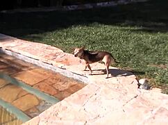 Vanessa Cage shares fun backstage moments with crew