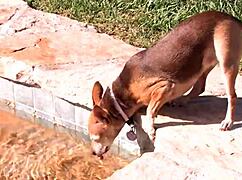 Vanessa Cage shares fun backstage moments with crew