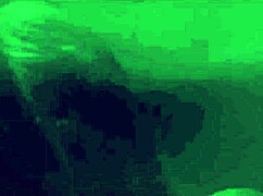 clara galle's pool vibes compilation part 2 💦🏊‍♀️